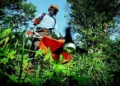 Growing Green: Sustainable Gardening Practices for a Healthier Planet