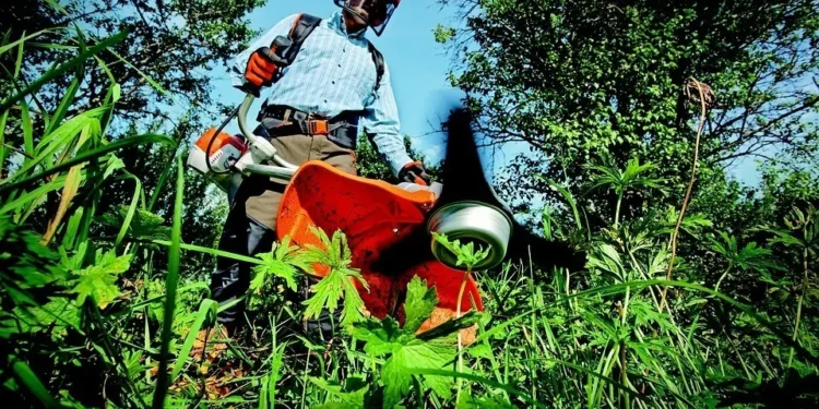 Growing Green: Sustainable Gardening Practices for a Healthier Planet