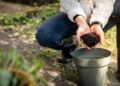 Nurturing the Earth: The Key to Sustainable Soil Management