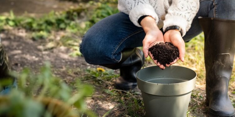 Nurturing the Earth: The Key to Sustainable Soil Management
