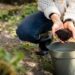 Nurturing the Earth: The Key to Sustainable Soil Management