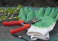 Shield Your Hands: The Ultimate Guide to Choosing the Best Garden Gloves