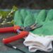 Shield Your Hands: The Ultimate Guide to Choosing the Best Garden Gloves