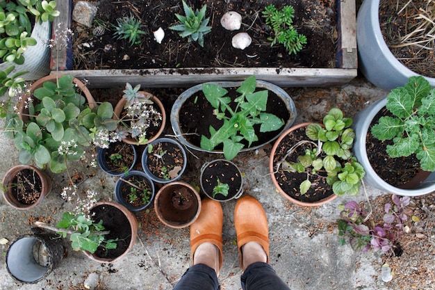 companion planting save water
