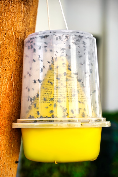 eco friendly fly trap