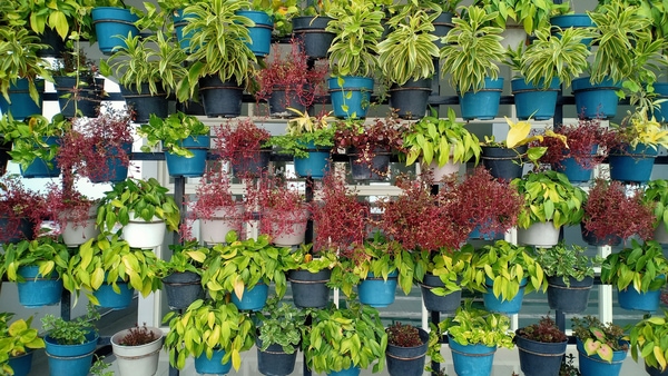 efficient gardening vertical gardening