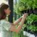 herb indoor vertical gardening