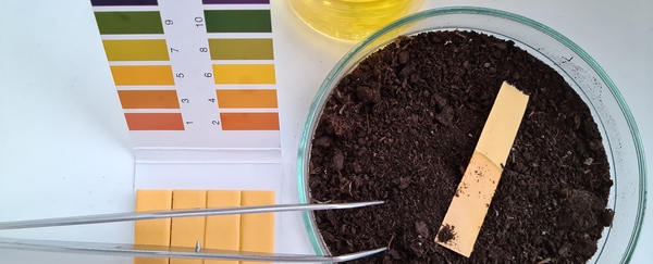 soil testing kit