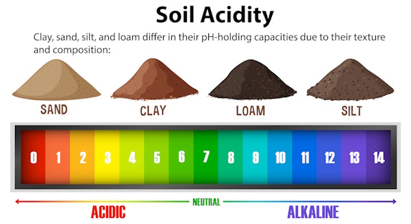 soil types and ph