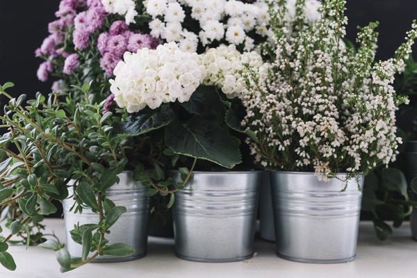 stylish indoor plant pots in metal
