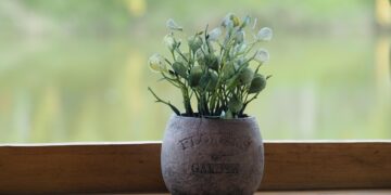 Greening Your Space: The Ultimate Guide to Stylish Indoor Plant Pots