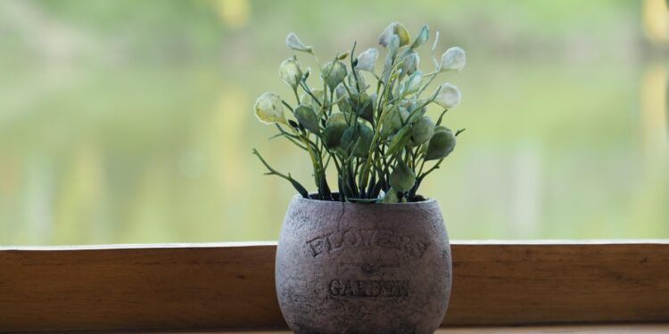 Greening Your Space: The Ultimate Guide to Stylish Indoor Plant Pots