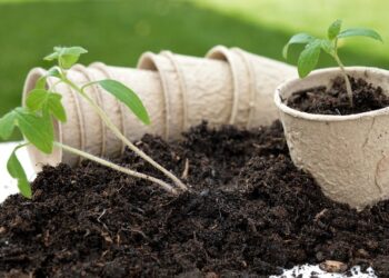 Permaculture Principles for a Thriving Future Discovering the Best Soil Types