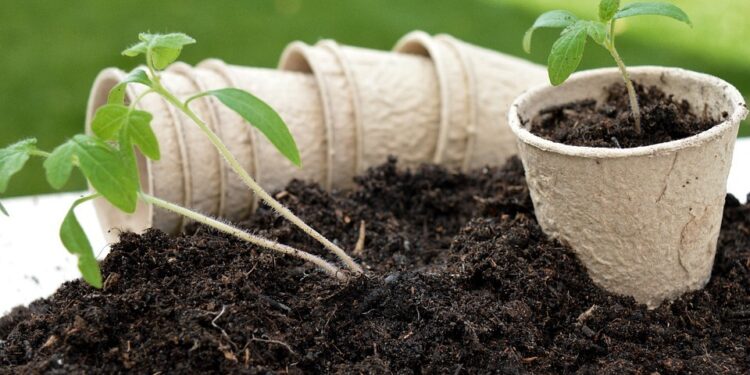 Permaculture Principles for a Thriving Future Discovering the Best Soil Types