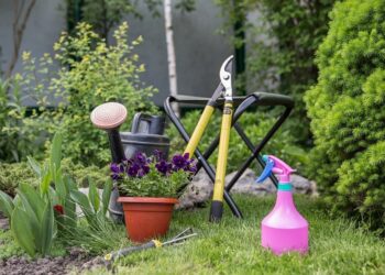 Maximizing Your Garden's Potential: A Guide to Sustainable and Resource Efficient Gardening