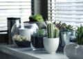 Creating Your Own Oasis: The Ultimate Guide to Setting Up a Lush Indoor Garden