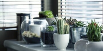 Creating Your Own Oasis: The Ultimate Guide to Setting Up a Lush Indoor Garden
