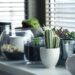 Creating Your Own Oasis: The Ultimate Guide to Setting Up a Lush Indoor Garden