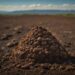 Unearthing the Secrets of Soil Health: Cultivating a Sustainable Future