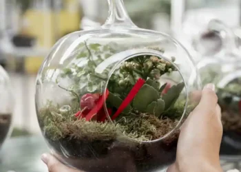 garden in a jar