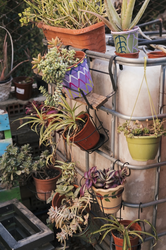 painted terracotta pots