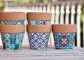 terracotta pots
