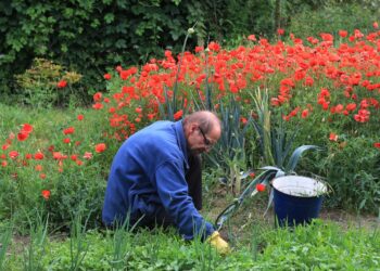 Top 5 Portable Garden Kneelers for Ultimate Comfort and Convenience in Your Gardening Tasks