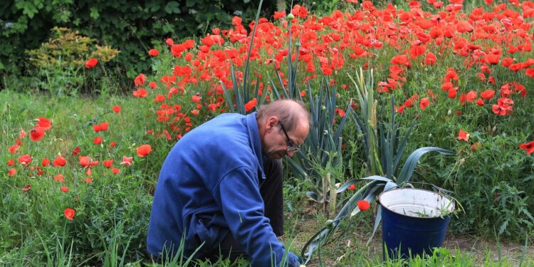 Top 5 Portable Garden Kneelers for Ultimate Comfort and Convenience in Your Gardening Tasks