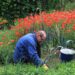 Top 5 Portable Garden Kneelers for Ultimate Comfort and Convenience in Your Gardening Tasks