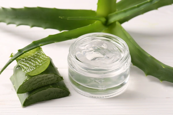 Aloe Vera Plant Skin Care Properties