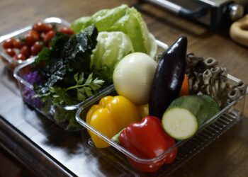 A Guide to Vegetable Garden Layout Plans