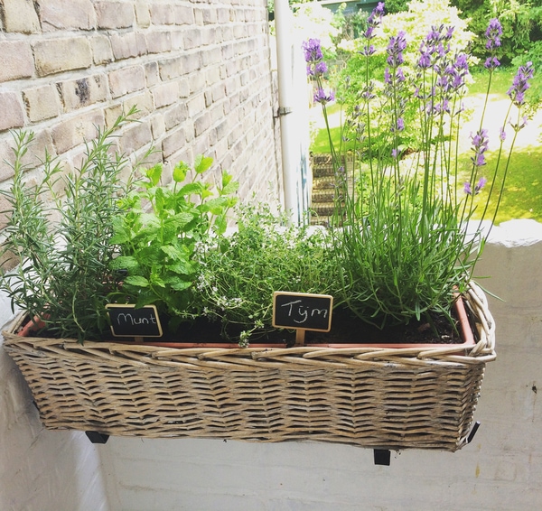 balcony garden with herbs