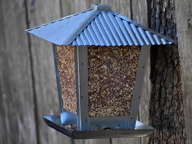 bird hopper feeder