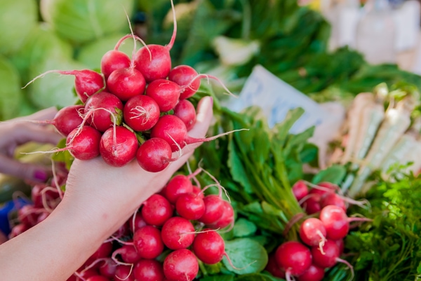 cherry belle radish