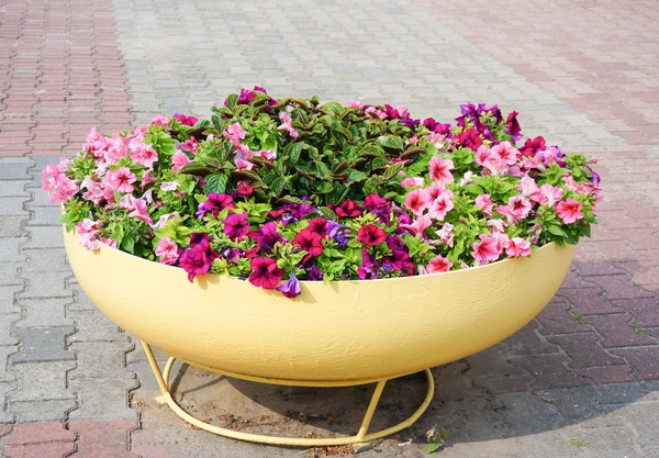 decorative garden planter with flowers
