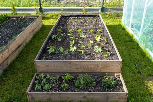 raised garden beds