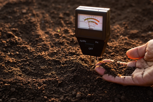 soil PH testing
