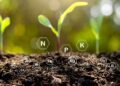 Essential Insights: The Importance of Soil Testing for Healthy Agriculture