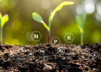 Essential Insights: The Importance of Soil Testing for Healthy Agriculture