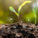 Essential Insights: The Importance of Soil Testing for Healthy Agriculture