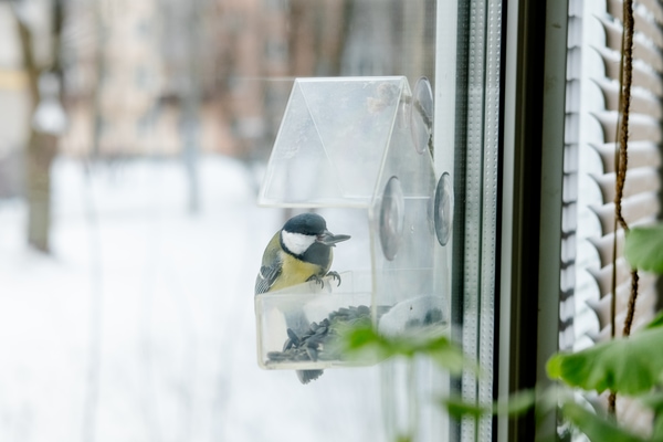 window bird feeder