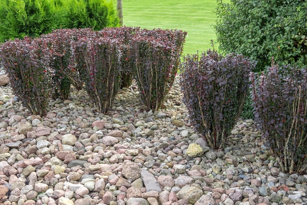 decorative pebble mulch