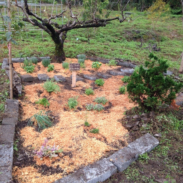 straw mulch
