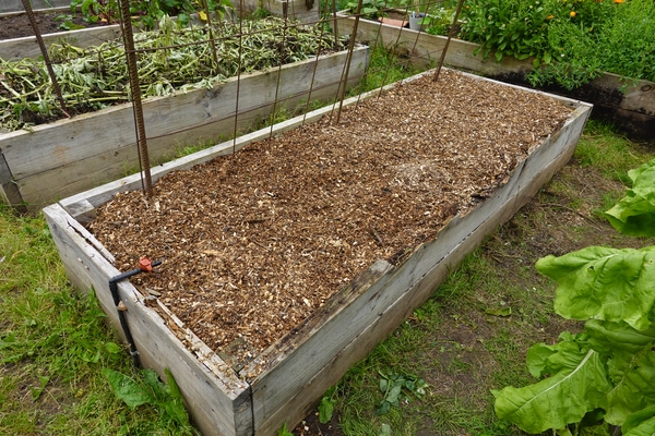 wood chip garden mulch