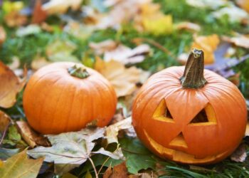 Halloween Garden Ideas