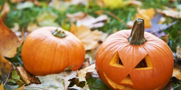 Halloween Garden Ideas