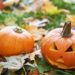 Halloween Garden Ideas
