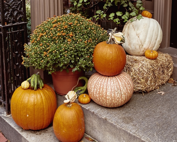 Halloween pumpkins decorating entrance