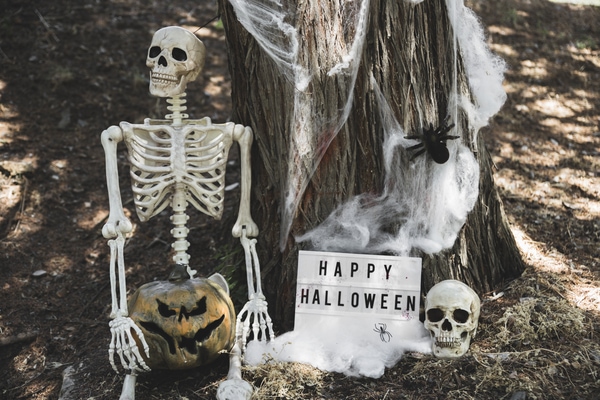 halloween skeleton and pumpkin