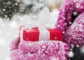 Christmas Gifts for Gardeners